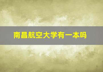 南昌航空大学有一本吗