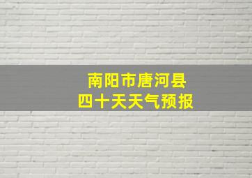 南阳市唐河县四十天天气预报