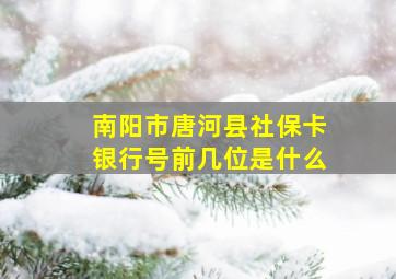 南阳市唐河县社保卡银行号前几位是什么