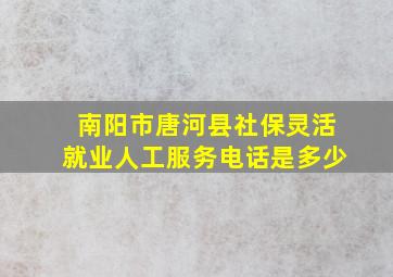 南阳市唐河县社保灵活就业人工服务电话是多少