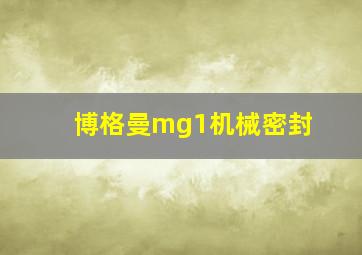 博格曼mg1机械密封