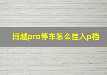 博越pro停车怎么挂入p档