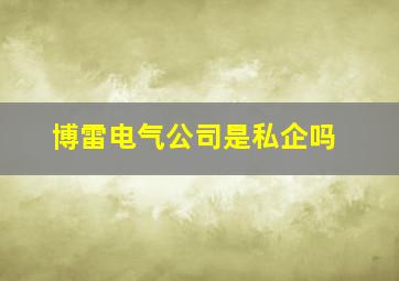 博雷电气公司是私企吗