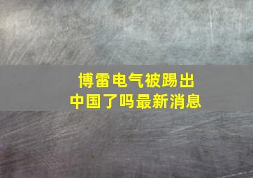 博雷电气被踢出中国了吗最新消息