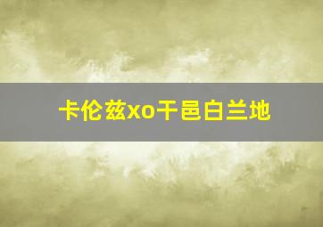 卡伦兹xo干邑白兰地