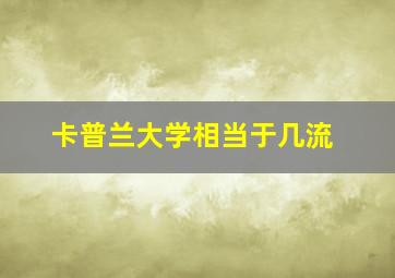 卡普兰大学相当于几流