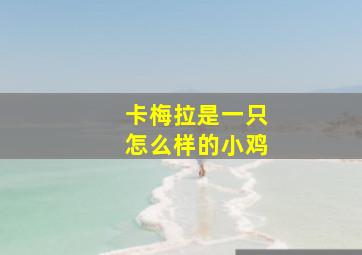 卡梅拉是一只怎么样的小鸡