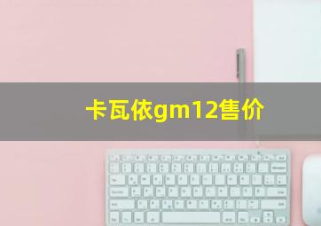 卡瓦依gm12售价