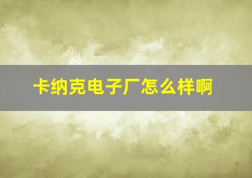 卡纳克电子厂怎么样啊