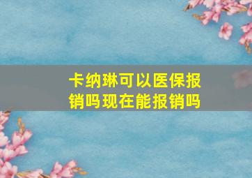 卡纳琳可以医保报销吗现在能报销吗