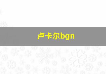 卢卡尔bgn