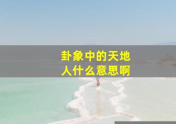 卦象中的天地人什么意思啊