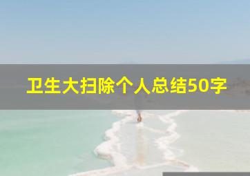 卫生大扫除个人总结50字