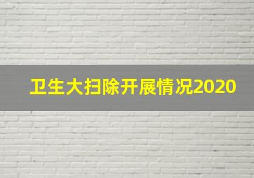 卫生大扫除开展情况2020