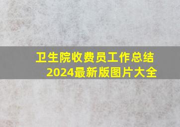 卫生院收费员工作总结2024最新版图片大全