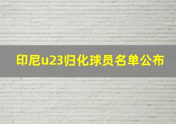 印尼u23归化球员名单公布