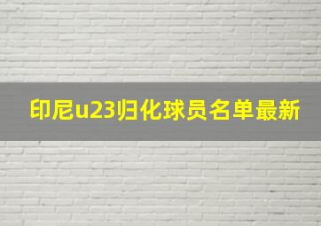 印尼u23归化球员名单最新