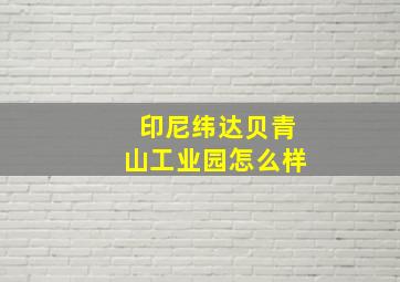 印尼纬达贝青山工业园怎么样