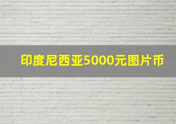 印度尼西亚5000元图片币