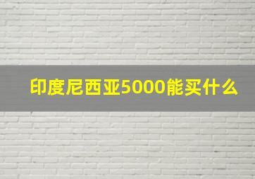 印度尼西亚5000能买什么