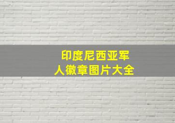 印度尼西亚军人徽章图片大全