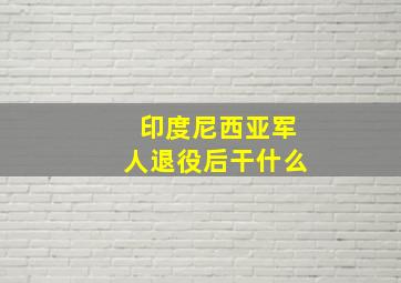 印度尼西亚军人退役后干什么