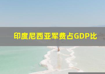 印度尼西亚军费占GDP比