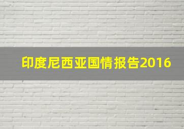 印度尼西亚国情报告2016