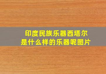 印度民族乐器西塔尔是什么样的乐器呢图片