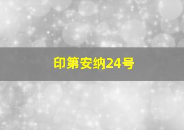 印第安纳24号