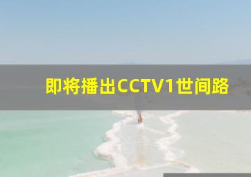 即将播出CCTV1世间路