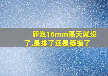 卵泡16mm隔天就没了,是排了还是萎缩了