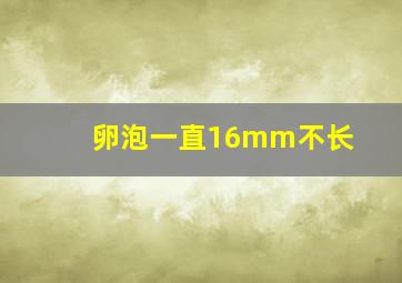 卵泡一直16mm不长