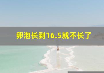 卵泡长到16.5就不长了