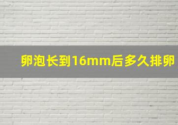 卵泡长到16mm后多久排卵