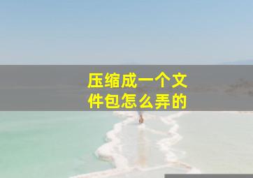 压缩成一个文件包怎么弄的