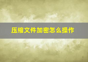 压缩文件加密怎么操作