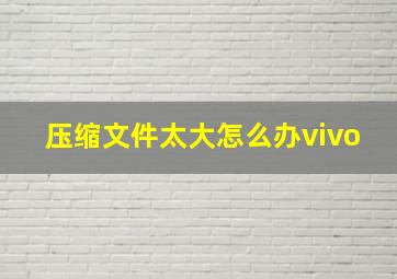 压缩文件太大怎么办vivo