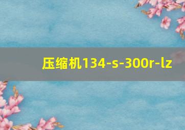 压缩机134-s-300r-lz