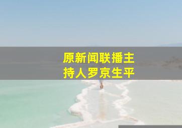 原新闻联播主持人罗京生平