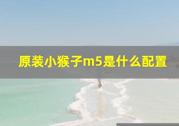 原装小猴子m5是什么配置