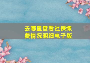 去哪里查看社保缴费情况明细电子版