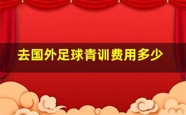 去国外足球青训费用多少