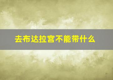 去布达拉宫不能带什么