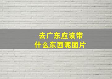 去广东应该带什么东西呢图片