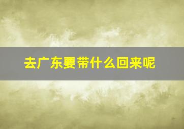 去广东要带什么回来呢