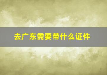 去广东需要带什么证件