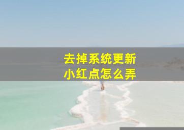 去掉系统更新小红点怎么弄