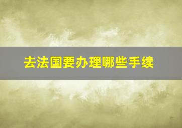 去法国要办理哪些手续