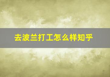 去波兰打工怎么样知乎